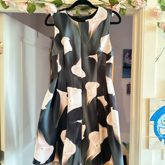 Calvin Klein Fit and Flare Dress - Picture 4 of 6